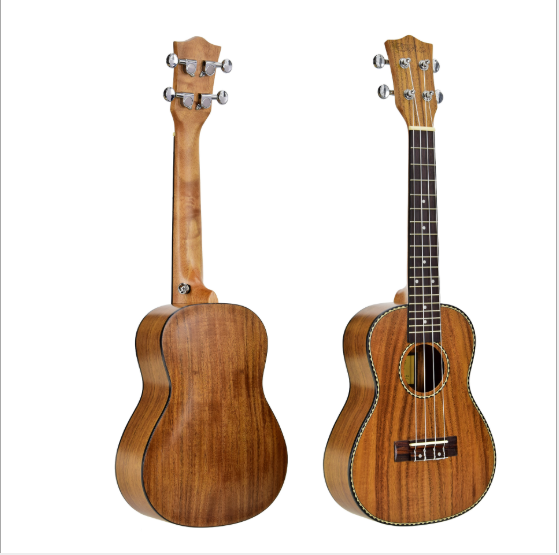 Stylish Ukulele