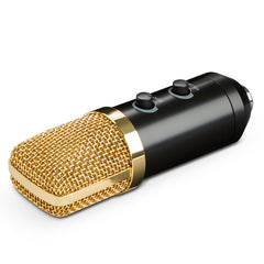 Condenser Microphone